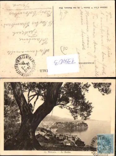 735403 Monaco Monte-Carlo Le Rocher Baum im Vordergrund