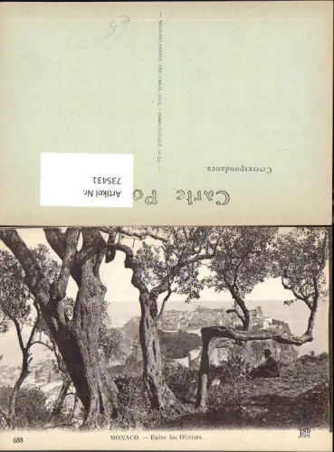 735431 Monaco Monte-Carlo Entree les Oliviers Baum im Vordergrund