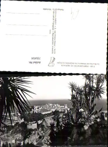 735454 Foto AK Monaco Monte-Carlo Principaute Le Rocher vu du jardin exotique Palmen im Vordergrund