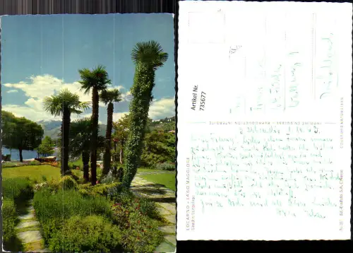735677 Locarno Lago Maggiore Giardini Lungolago Palmen
