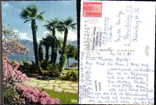 735678 Locarno Lago Maggiore Lungolago Palmen
