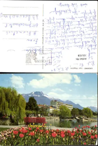 735703 Locarno Lago Maggiore Bank Blumen Tulpen am Ufer