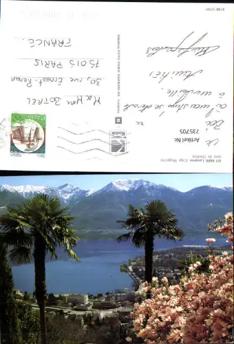 735705 Locarno Lago Maggiore vista da Orselina Palmen Magnolienblüte