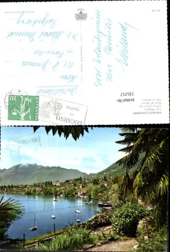 735717 Locarno Lago Maggiore Minusio Ansicht Ufer Palme