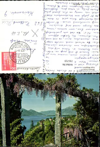 735719 Locarno Lago Maggiore Minusio Blauregenblüte Blumen Pergola Blick auf See
