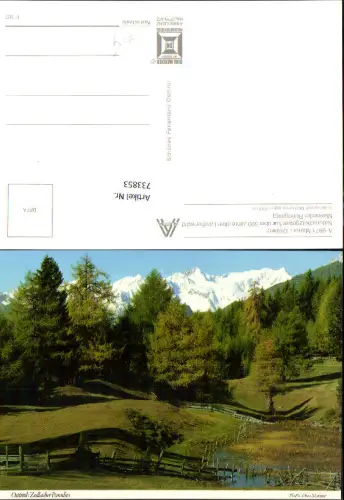733853 Matrei i. Osttirol Malhamgruppe Zedlacher Paradies Lärchenwald