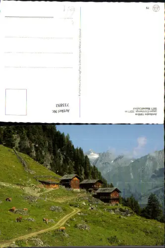 733892 Arnitzalm Matrei in Osttirol