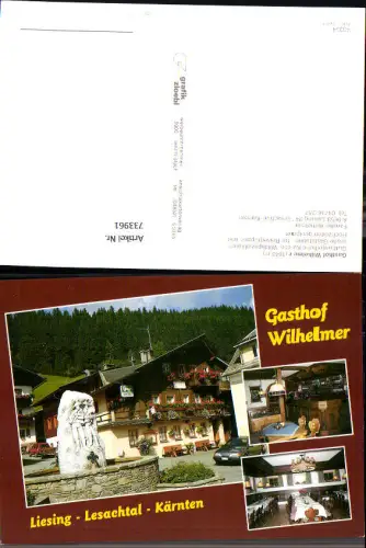 733961 Mehrbild AK Liesing Lesachtal Kärnten Gasthof Wilhelmer Brunnen