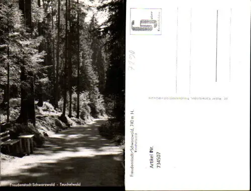 734507 Foto AK Freudenstadt Schwarzwald Teuchelwald