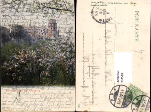 734518 Ein Blütengruß aus Heidelberg Schloss Blütenstrauch