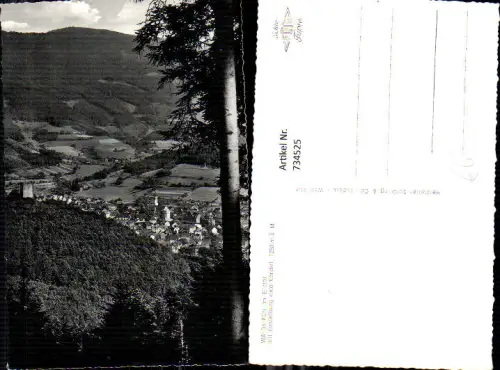 734525 Foto AK Waldkirch im Elztal mit Kastelburg u. Kandel