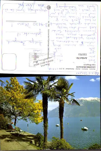 735753 Locarno Lago Maggiore Muralto Ufer Palmen Bank