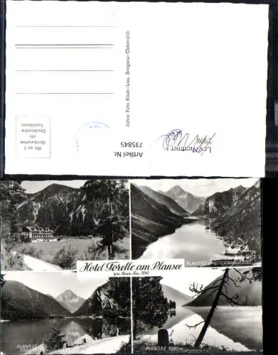 735845 Reutte Breitenwang Forelle am Plansee Heiterwangersee pub Risch-Lau 7010