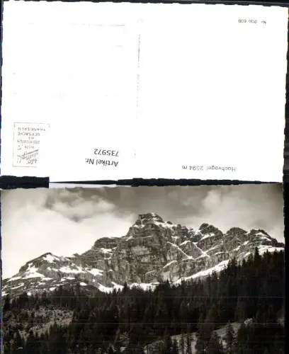 735972 Foto AK Hochvogel b. Hinterhornbach Reutte