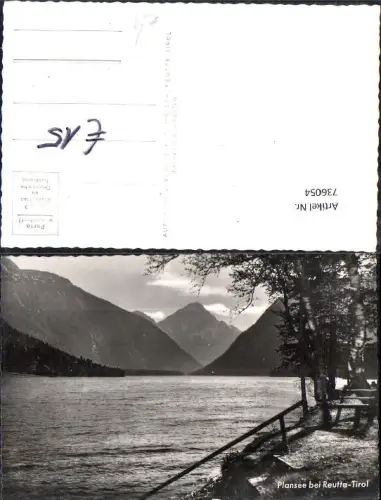 736054 Foto AK Plansee b. Reutte Ufer Baum Birke