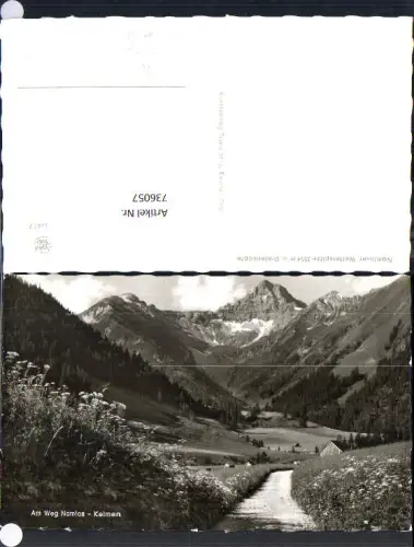 736057 Foto AK Am Weg Namlos Namloser Wetterspitze u. Dreienköpfe Reutte