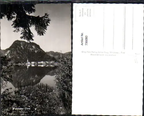 736080 Foto AK Walchsee Tirol