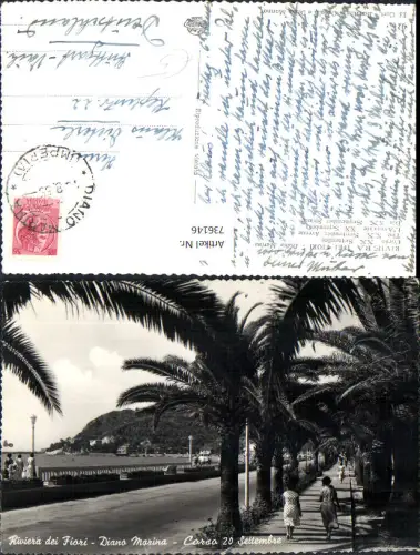 736146 Riviera dei Fiori Diano Marina Corso 20 Settembre Palmen Italy