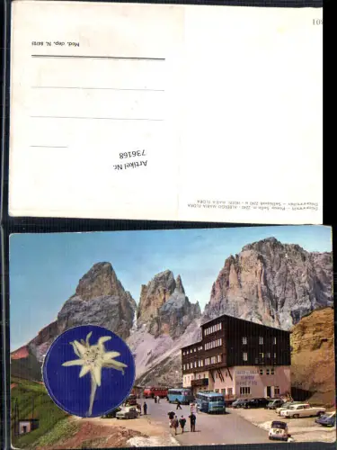 736168 Trentino Dolomiten echtes Edelweiss Passo Sella Bus Autobus Sellapass Gröden Canazei