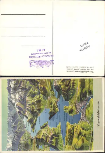 736175 M. Bieder sign. Vierwaldstättersee Luzern Beckenried Vitznau Treib Flüelen Bordstempel Dampfer Uri