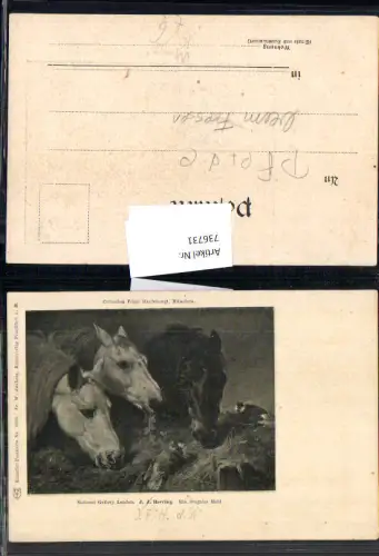 736731 Künstler AK J.J. Herring Pferde Pferdeköpfe Künstler Postkarte 4103 Juxberg Frankfurt