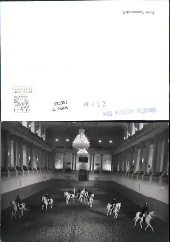 736786 Foto-AK Wien Spanische Hofreitschule Pferde Lipizzaner Reitschule
