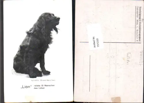 737210 Tiere Hund Lion Retter Eduard Hans Haas Vereinigung d. Vivisektionsgegner Wien