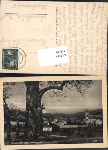 737229 Waldhausen im Strudengau Baum Bezirk Perg