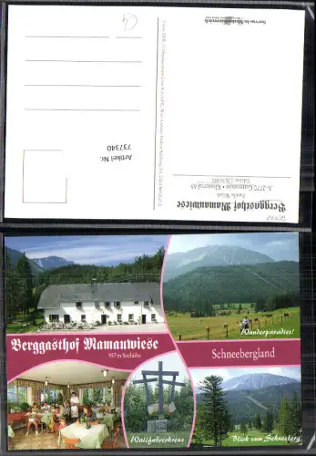 737340 Klostertal Gutenstein Gasthof Mamauwiese