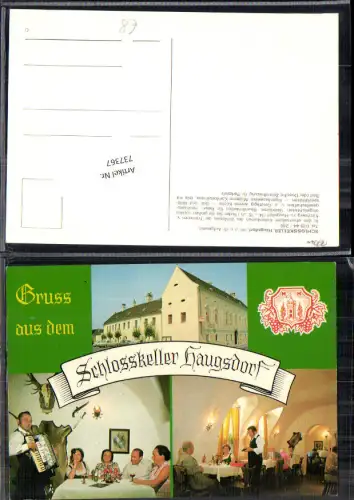 737367 tolle seltene AK Haugsdorf Schlosskeller Heuriger Wein
