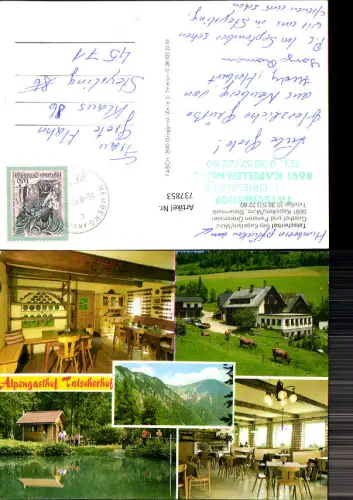737853 Mehrbild AK Alpengasthof Tatscherhof Kapellen Neuberg a. d. Mürz Rinder Kühe Gaststube