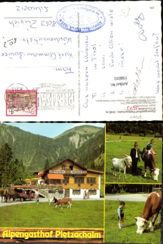738031 Mehrbild AK Alpengasthaus Pletzachalm b. Pertisau a. Achensee Bub Junge Tracht Rind Ziege Pferde