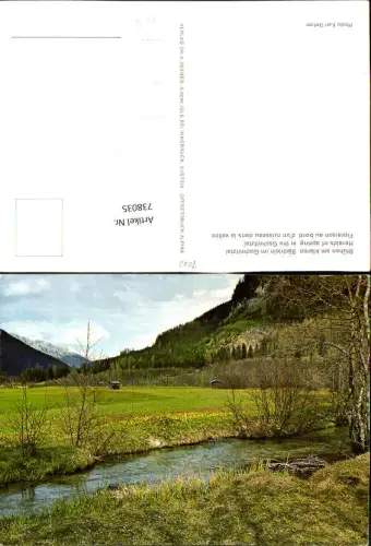 738035 Blühen a. klaren Bächlein im Gschnitztal Gschnitz