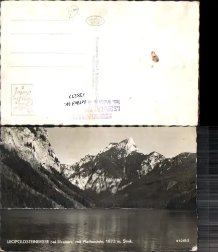 738272 Foto AK Leopoldsteinersee b. Eisenerz mit Pfaffenstein