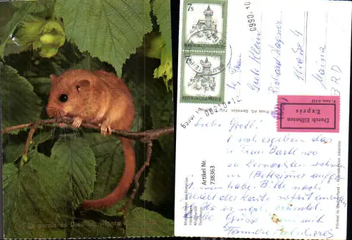 738363 Haselnuss Tier Nagetier La parole de Dieu est vivante et efficace Stempel Durch Eilpost Expres