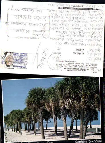 738401 Howard Park Beach Jarpon Springs Florida Palmen Strand United States of America USA pub Tom Brown Card