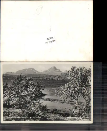 738877 Norway Takvatnet Malselv Balsfjord Troms Vintage Postcard