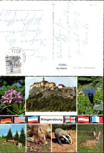 738915 Mehrbild AK Riegersburg Burg Tiere Dachs Fuchs Reh Blumen