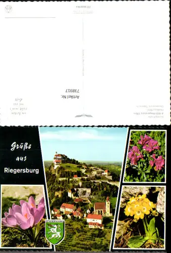738917 Mehrbild AK Riegersburg Burg Blumen Krokus Primeln