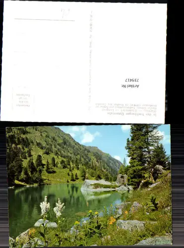 739417 Nockbergen Dieslingsee Blick auf Eisenhut Flattnitz Glödnitz