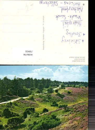 739431 Dänische Heidelandschaft Danish moorland Denmark