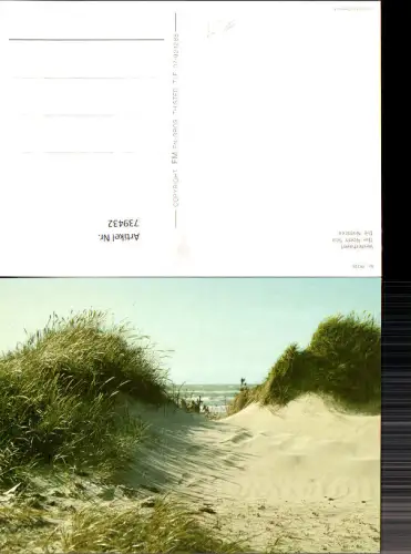 739432 Vesterhavet Die Nordsee Strand Dünen Denmark