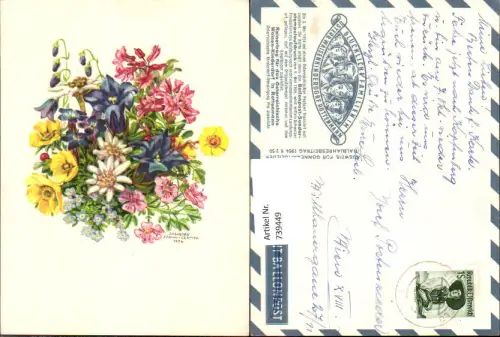 739449 Künstler AK Ingeborg Spann-Gramer Blumen Strauß Alpenflora Enzian Edelweiß