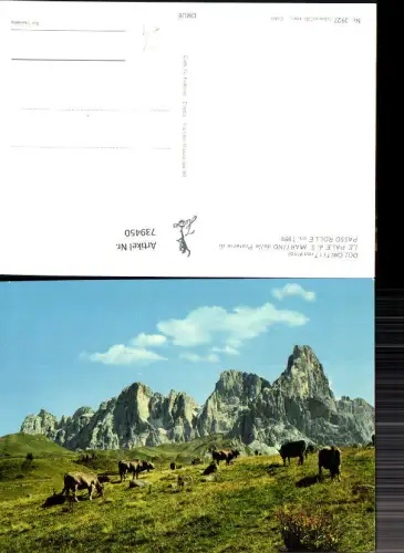 739450 Dolomiti Trentino Le Pale di S. Martino dalle Praterie di Passo Rolle Predazzo Italy