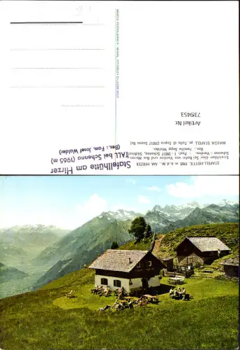 739453 Staffel-Hütte am Hirzer Malga Stafell p. Talle di Sopra Tall b. Schenna Trentino
