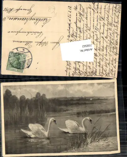 739562 Künstler AK August Müller München Jagd Schwan Schwäne