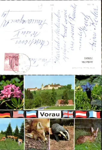 739641 Mehrbild AK Vorau Stift Tiere Rinder Dachs Reh Wild Fuchs Blumen Enzian