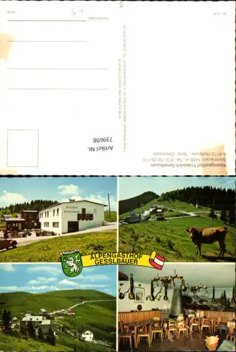 739698 Mehrbild AK Heilbrunn Anger Mitterndorf Gesslbauer Kuh Rind Gaststube Kamin