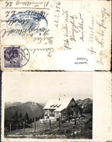 743668 Foto-AK Obersberg Waldfreunde Hütte Schwarzau im Gebirge