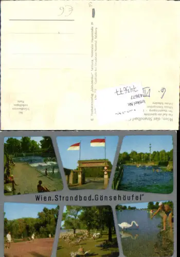 743677 Wien Donaustadt Strandbad Gänsehäufel Alte Donau